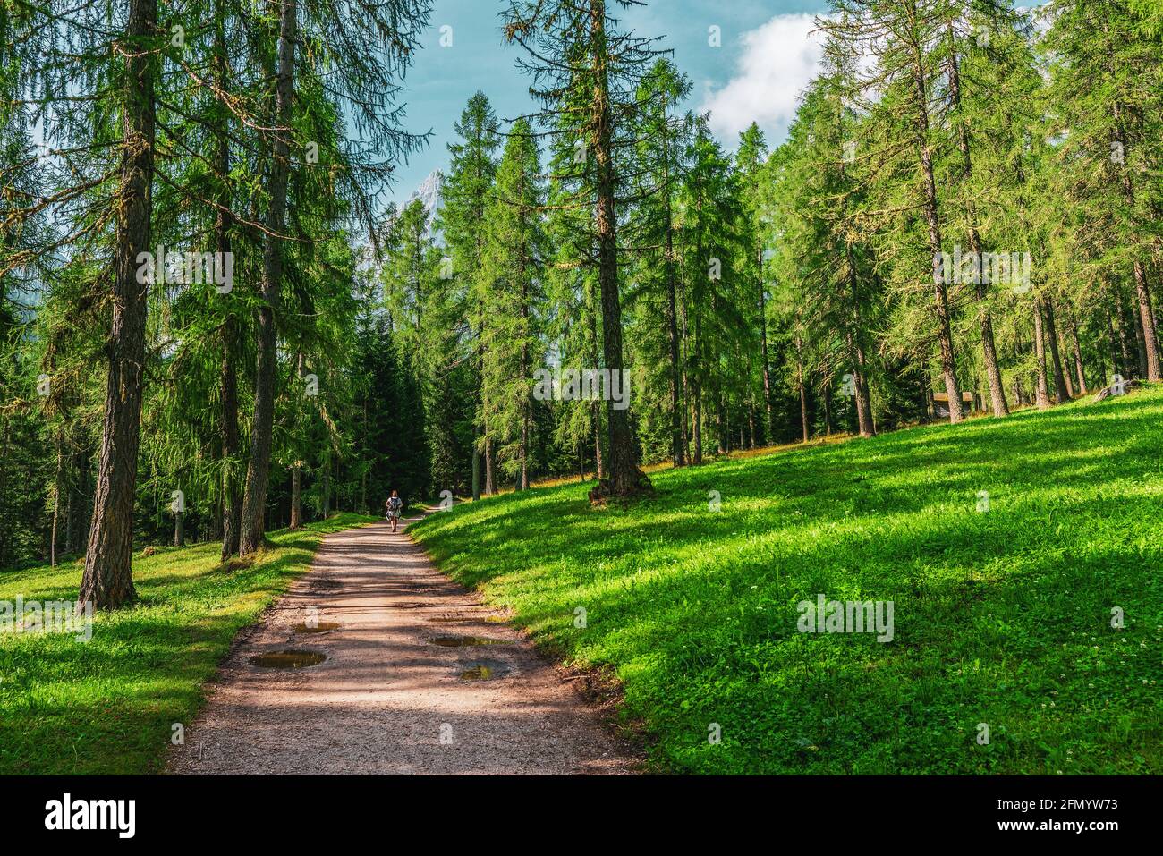 Backpacker im Wald in den Dolomiten in Italien. Stockfoto