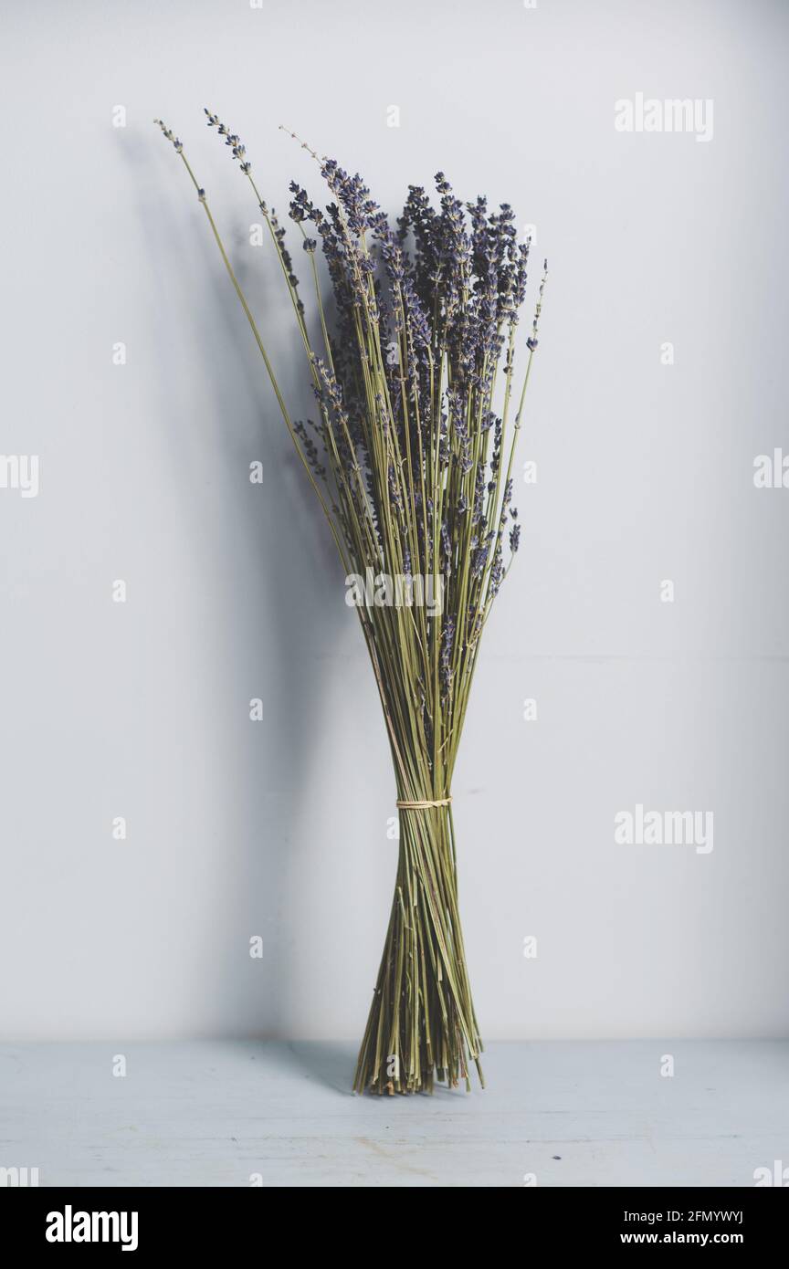 Trockenes Lavendelbukett isoliert auf grauem Hintergrund. Speicherplatz kopieren Stockfoto