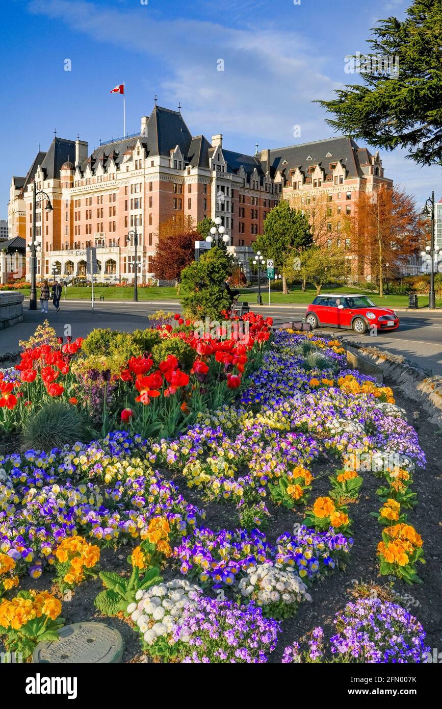 Frühlingsblumen, Fairmont Empress Hotel, Victoria, British Columbia, Kanada Stockfoto