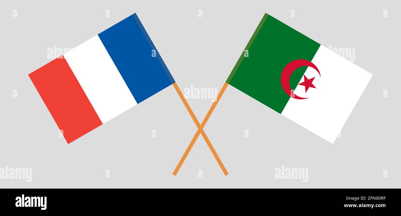 Gekreuzte Flaggen von Algerien und Frankreich. Offizielle Farben. Korrektes Verhältnis. Vektorgrafik Stock Vektor