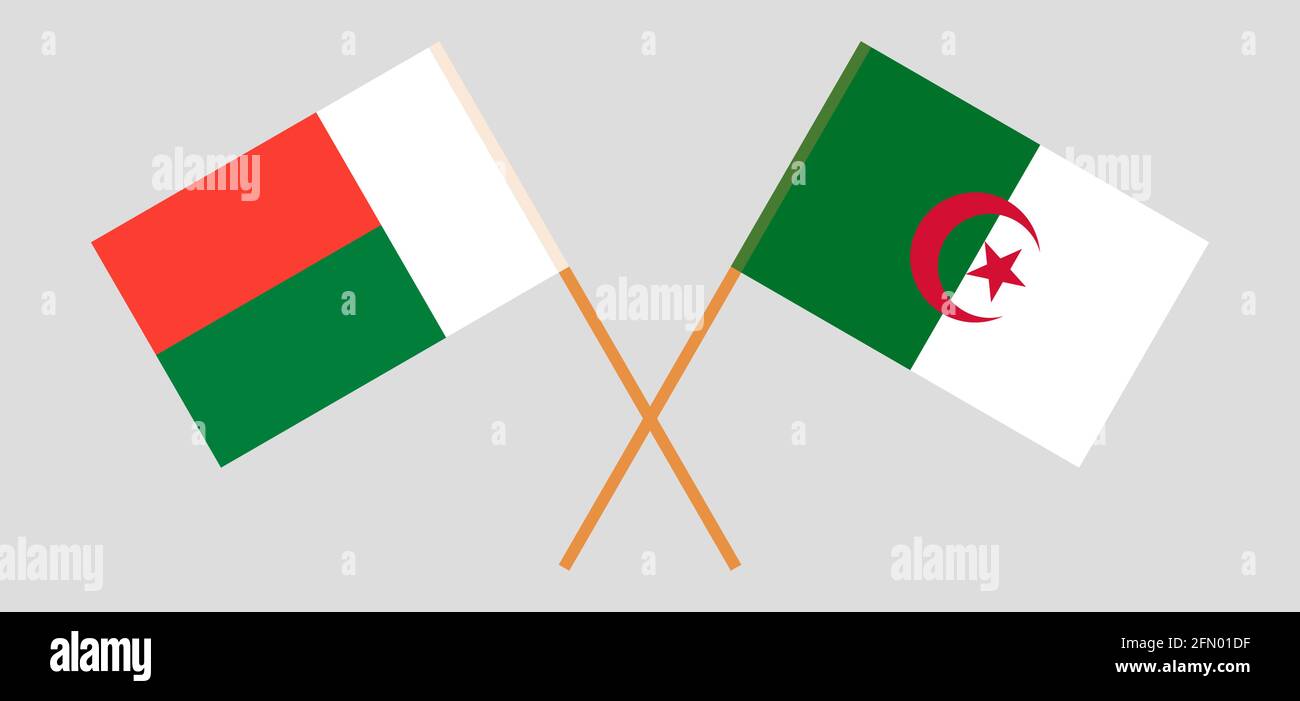 Gekreuzte Flaggen von Algerien und Madagaskar. Offizielle Farben. Korrektes Verhältnis. Vektorgrafik Stock Vektor