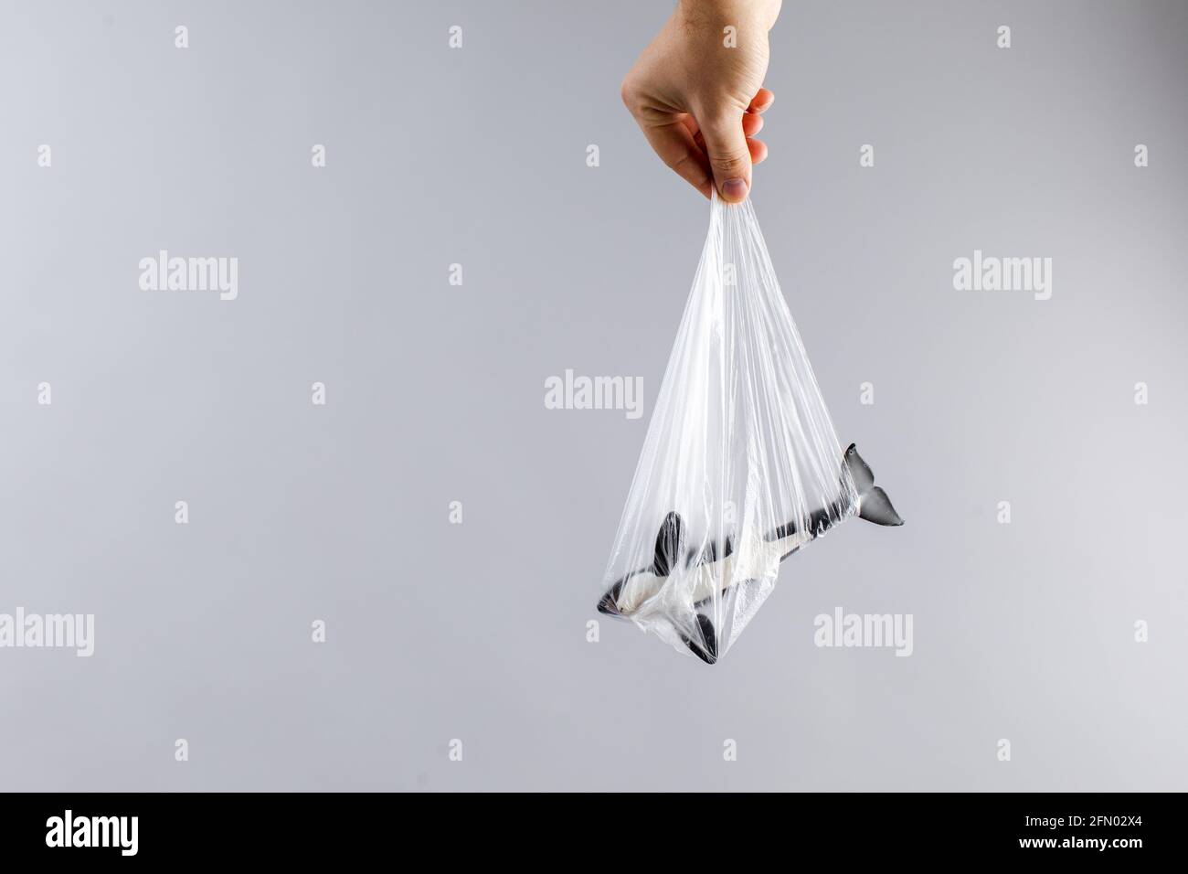 Wale in einer Plastiktüte gefangen. Konzept der Verschmutzung der Ozeane Stockfoto