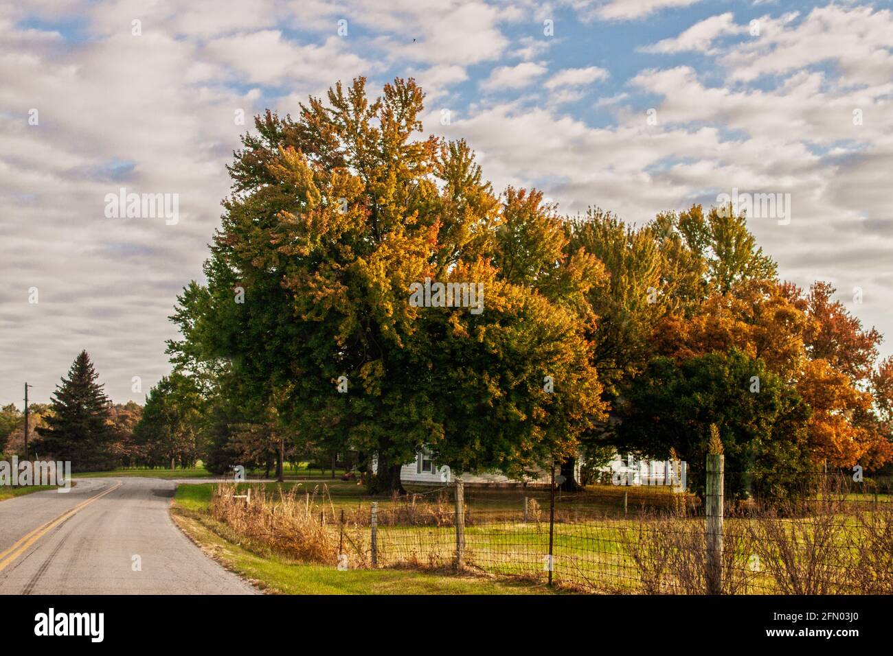 Herbstszene der Farm Straße und Haus mit bunten Bäumen Und Zaun im ländlichen Indiana USA unter blauem Himmel mit Wolken Stockfoto