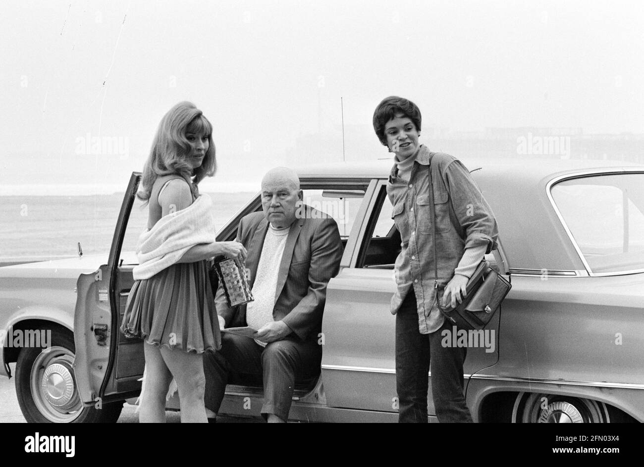 Kaktus im Schnee (1971) Ruby Dake, Tiger Joe Marsh, Mary layne, Datum: 1971 Stockfoto