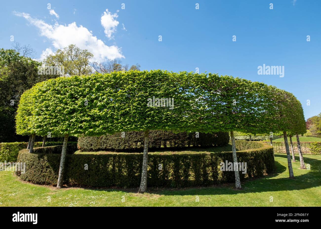 The Lynn Garden at Ascott House, Wing, Leighton Buzzard UK. Entworfen von Jacques und Peter Wirtz. Stockfoto