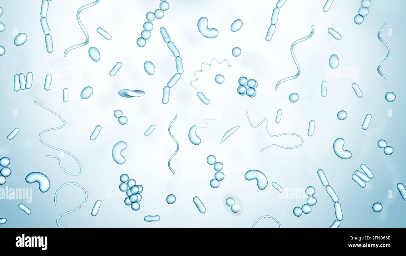 Verschiedene Arten von Bakterien auf einem hellen Hintergrund. Formen. 3d-Illustration. Stockfoto