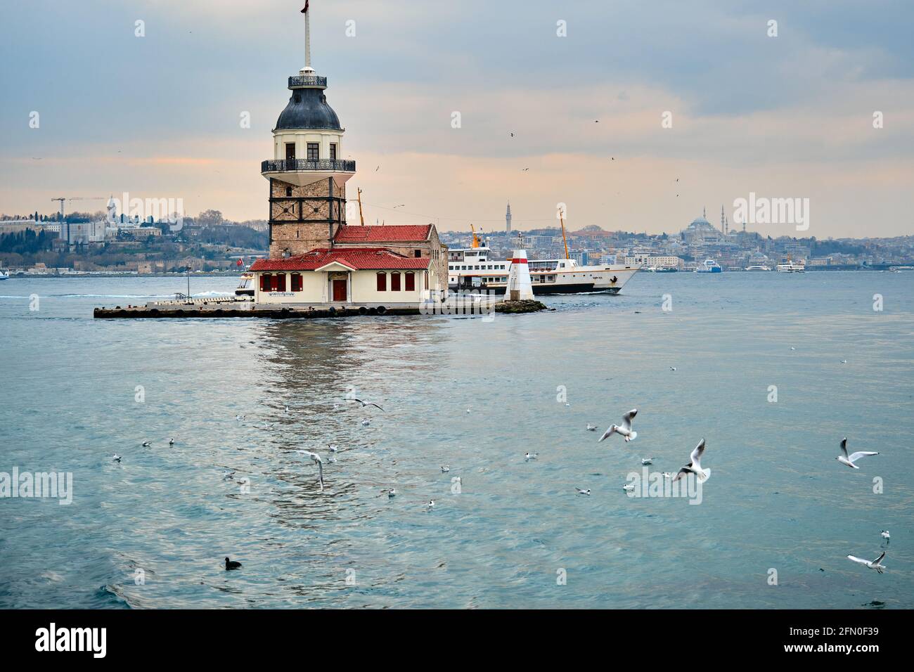 Der Maiden-Turm (kiz kulesi) istanbul, Türkei bei bewölktem Wetter und Sonnenuntergang über dem bosporus-Meer. Gruppen von Möwen, die auf dem Meer fliegen. Stockfoto