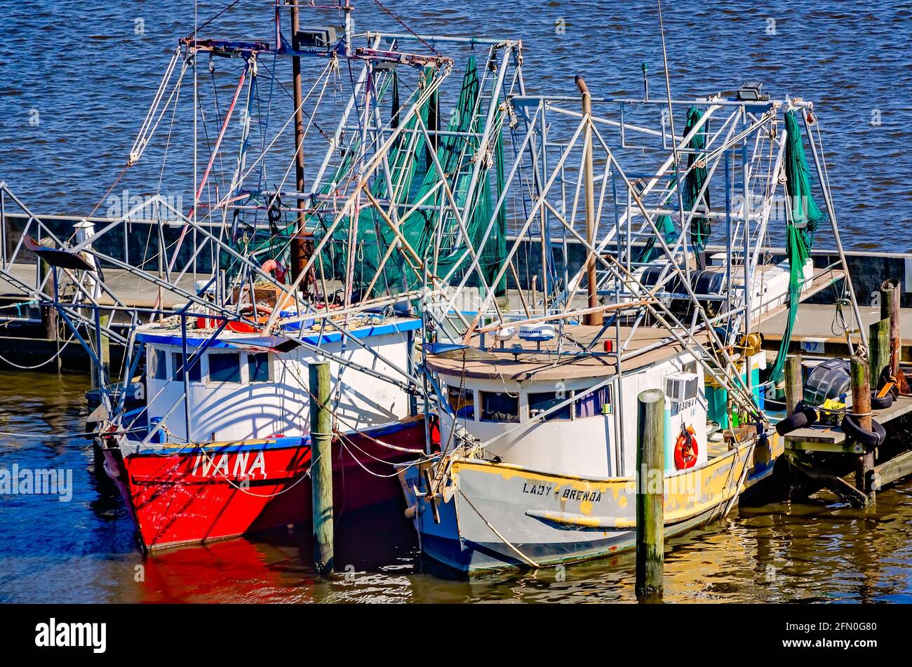 Garnelenboote werden am Biloxi Small Craft Harbour am 8. Mai 2021 in Biloxi, Mississippi, angedockt. Stockfoto