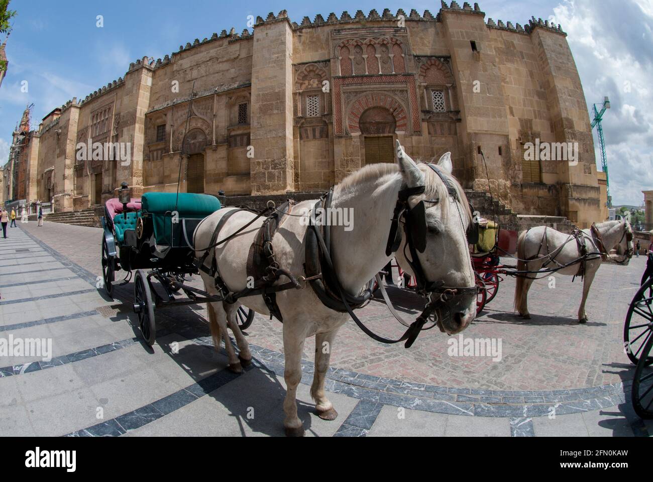 Pferdekutsche für Touristen, Moschee-Kathedrale von Córdoba, Córdoba, Andalusien, Spanien, Europa Stockfoto
