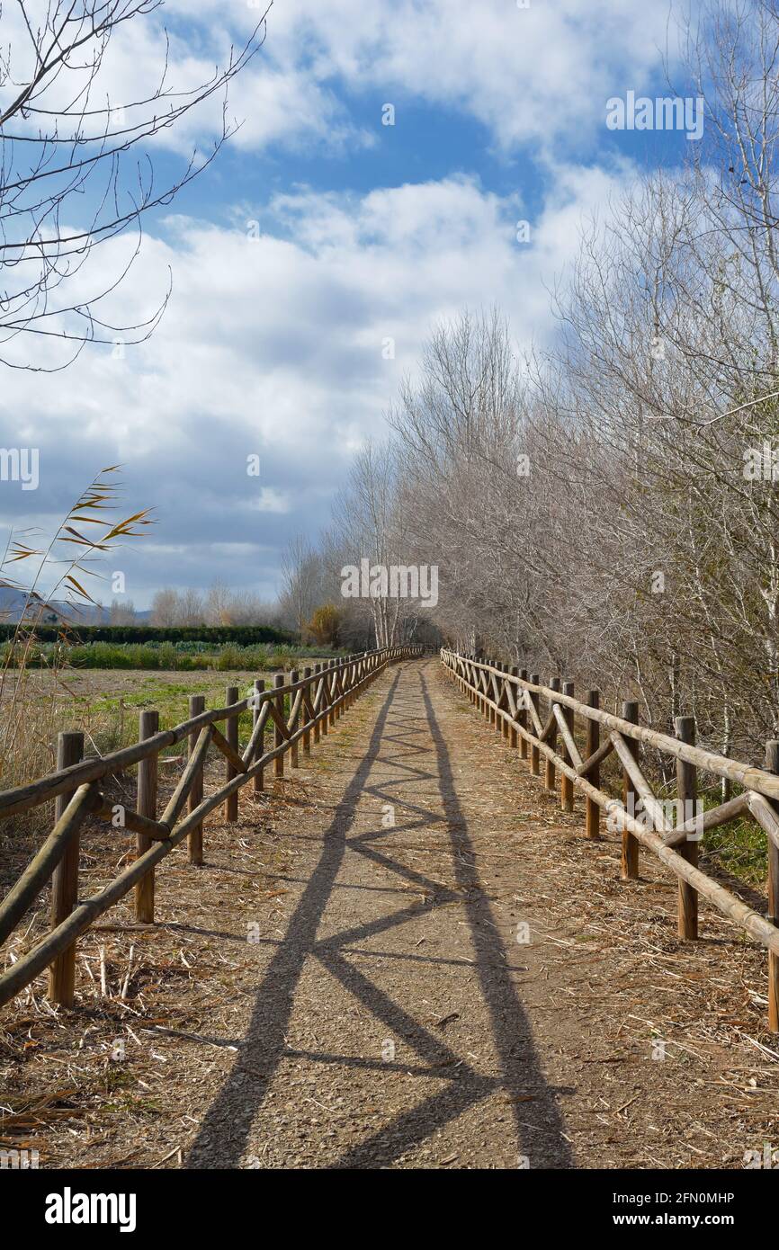 Ein Wanderweg durch ein natürliches Waldgebiet im Ebro Delata, Katalonien Stockfoto