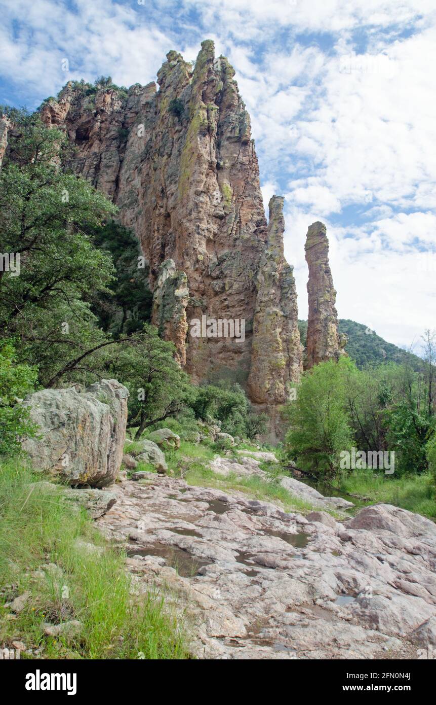 Sycamore Canyon im Süden Arizonas Stockfoto