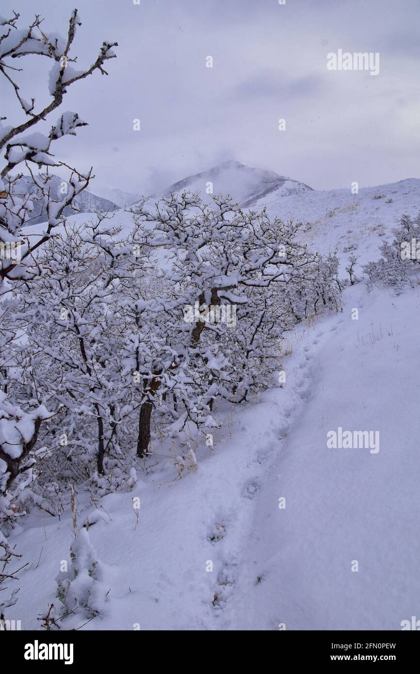 Blick auf den Little Black Mountain Peak Wanderweg von Salt Lake City, im Winter über den Bonneville Shoreline Trail, Wasatch Front Rocky Mountains, Ut Stockfoto