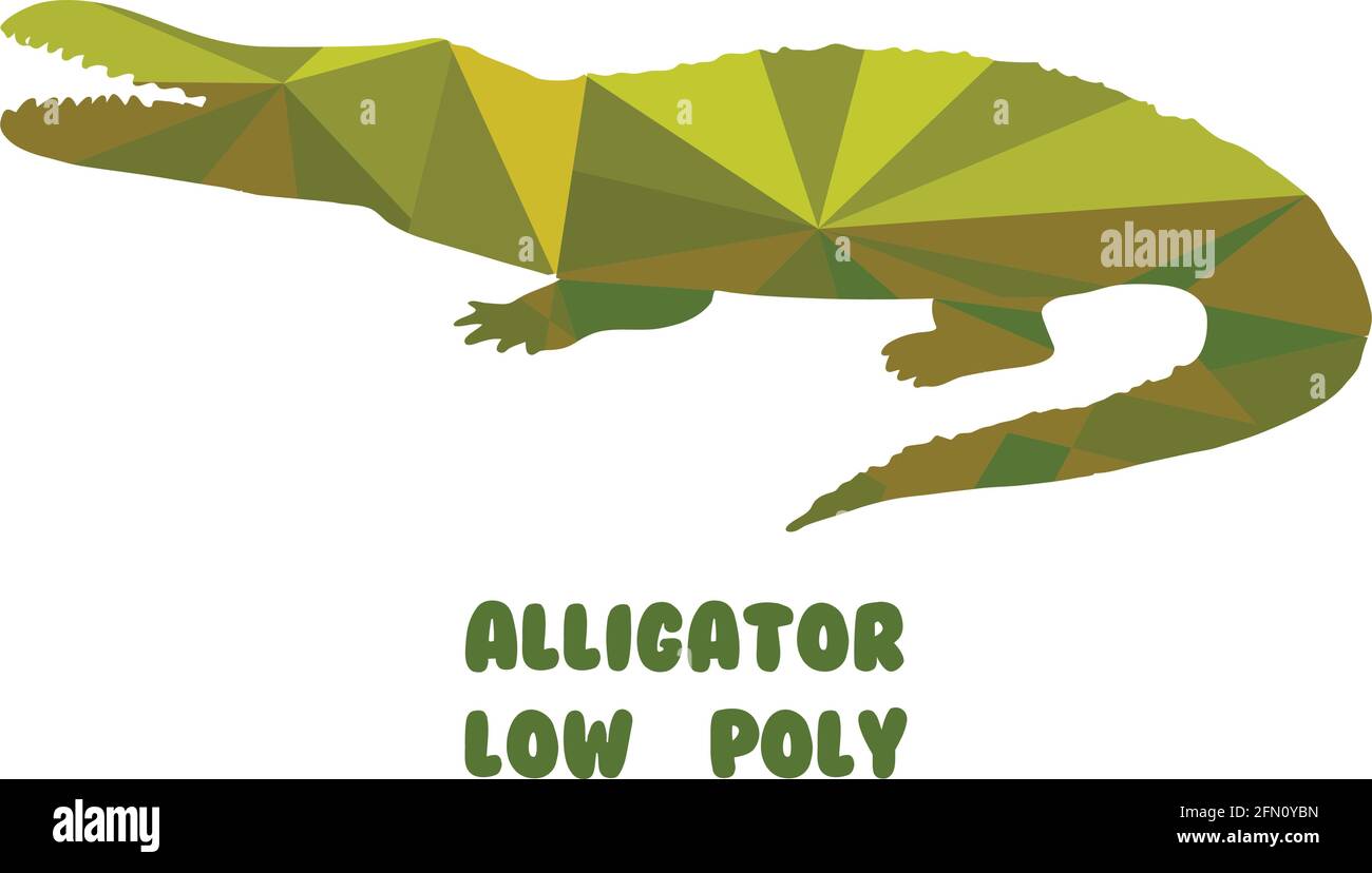 Alligator. Polygonale Vektordarstellung isoliert auf weißem Hintergrund. Niedrige Poly Stock Vektor