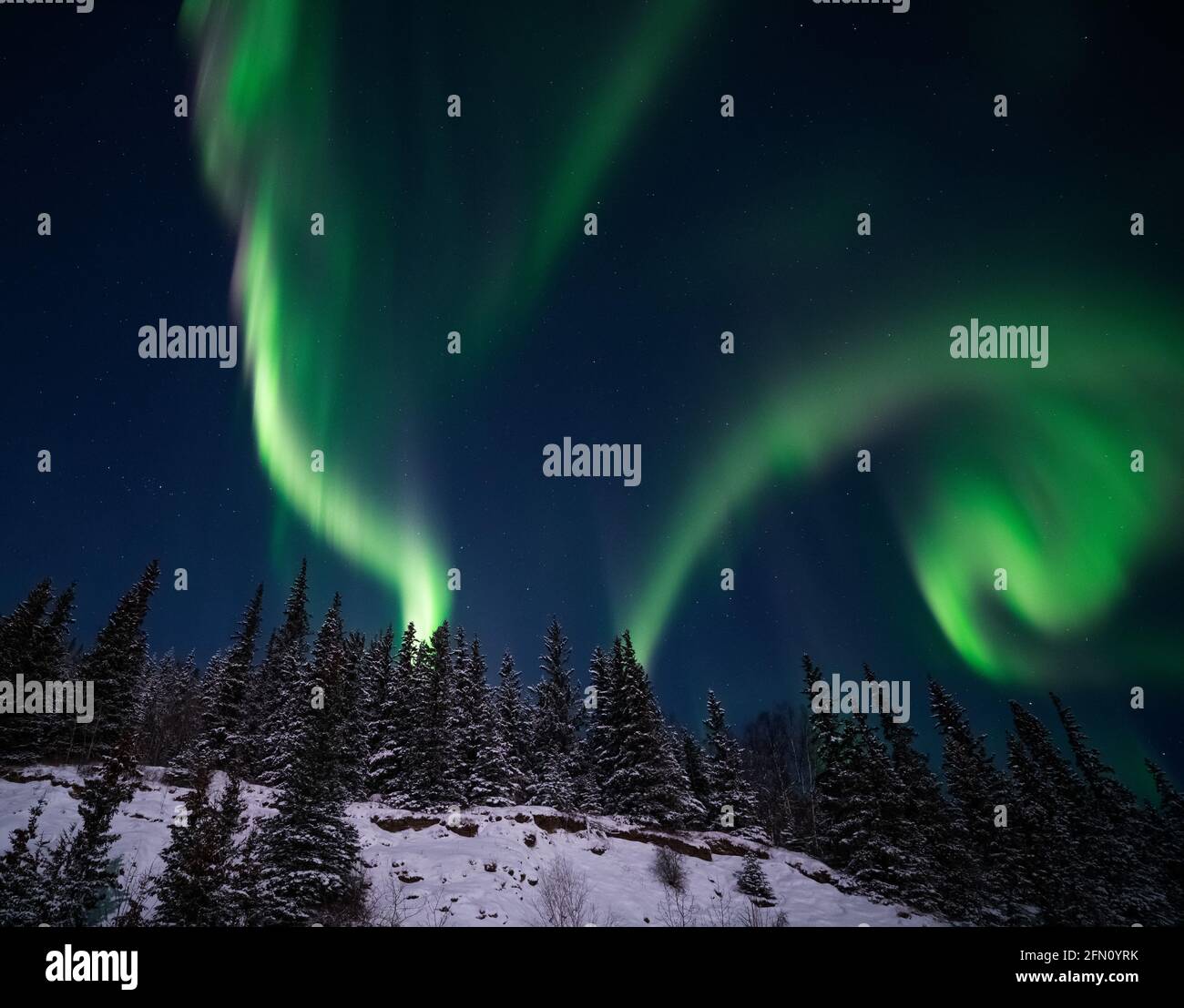 Eine Nacht unterwegs in Alaska! Stockfoto