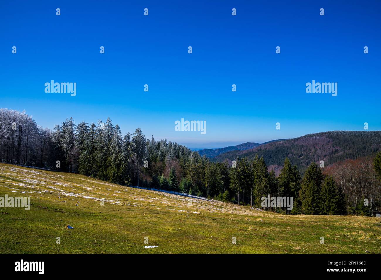 Deutschland, Panoramablick über das schwarzwaldtal vom Brend-Gipfel in der Wintersaison mit weißen verschneiten Bäumen an einem eiskalten Tag Stockfoto