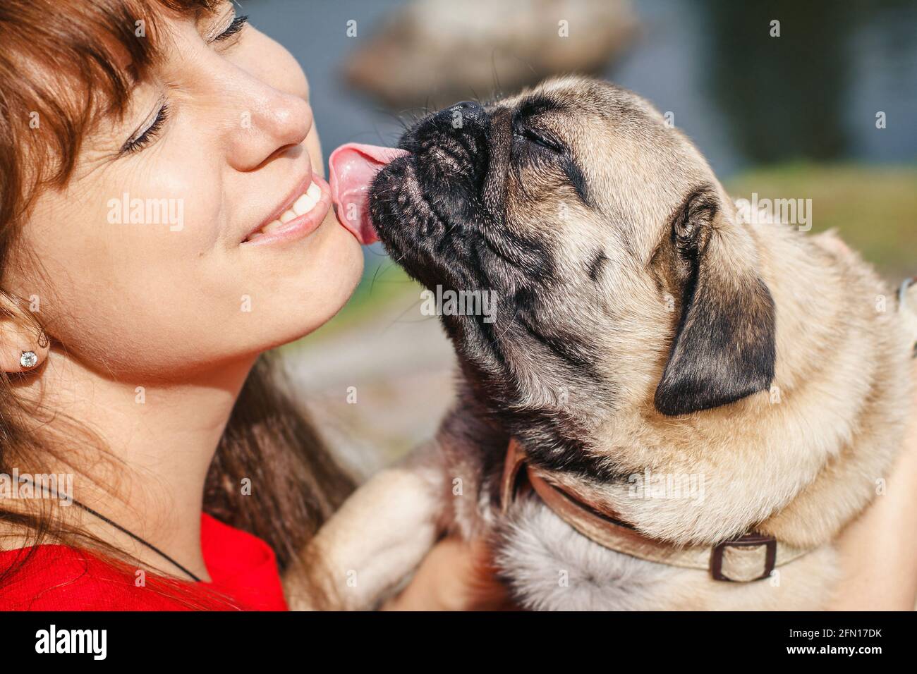 Wunderbar Hund Leckt Frau Bild