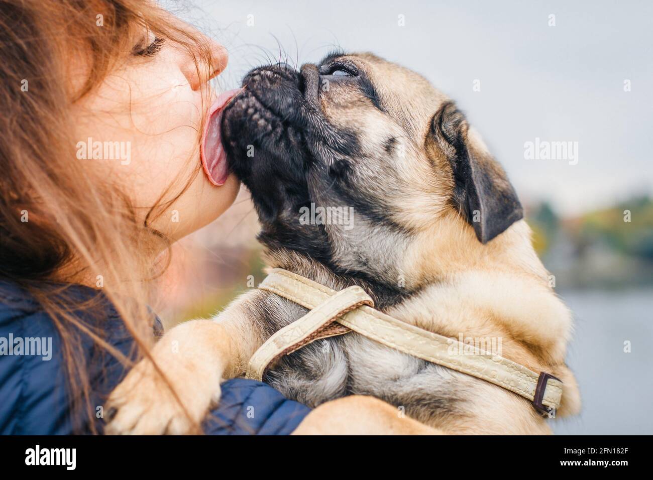 Hund leckt frau Fotos und Bildmaterial in hoher Auflösung Alamy