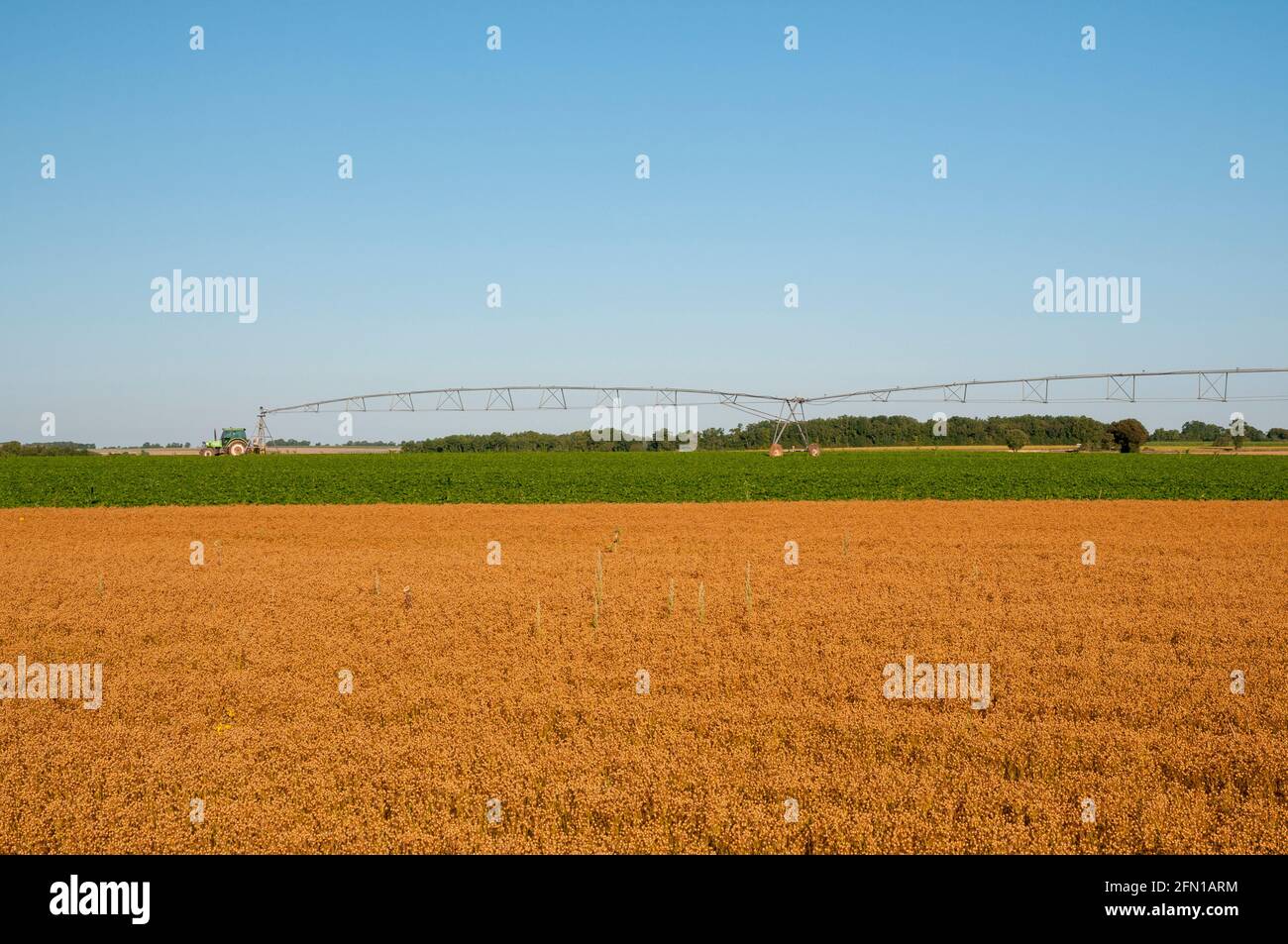 Getreidefelder mit einem zentralen Bewässerungssystem im Sommer, Charente (16); Region Nouvelle-Aquitaine, Frankreich Stockfoto