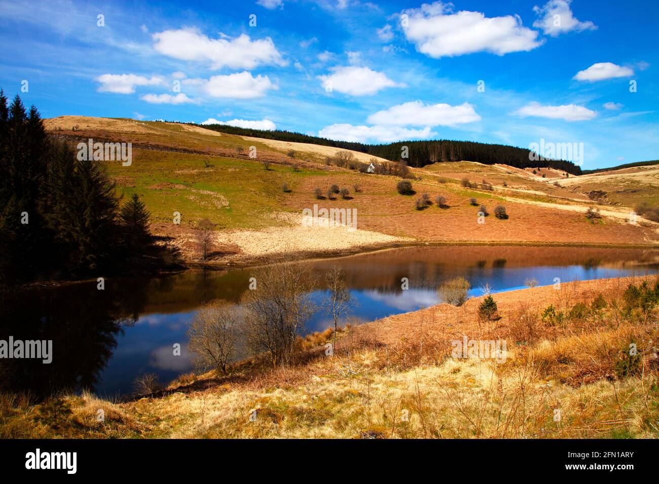 Walisische Landschaft in der Nähe des Llyn Brianne Dam und des Tywi-Waldes tagsüber blauer Himmel flauschige weiße Wolken, die sich im Wasser spiegeln, Wales, Großbritannien Stockfoto
