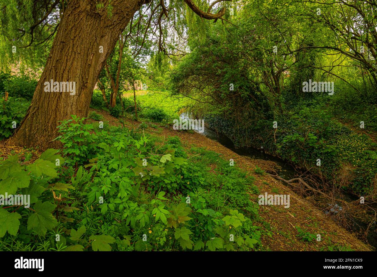 River Twyver schlängelt sich durch die Wohnsiedlungen von Gloucester Stockfoto