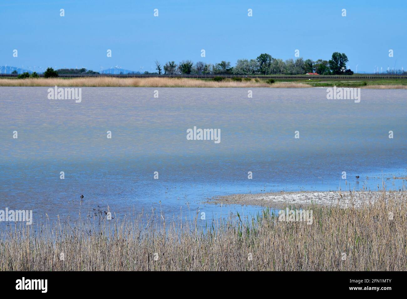 Österreich, winziger Steppensee im Nationalpark Neusiedler See-Seewinkel, Teil der eurasischen Steppe im Burgenland und Teil der internationalen Union for Con Stockfoto