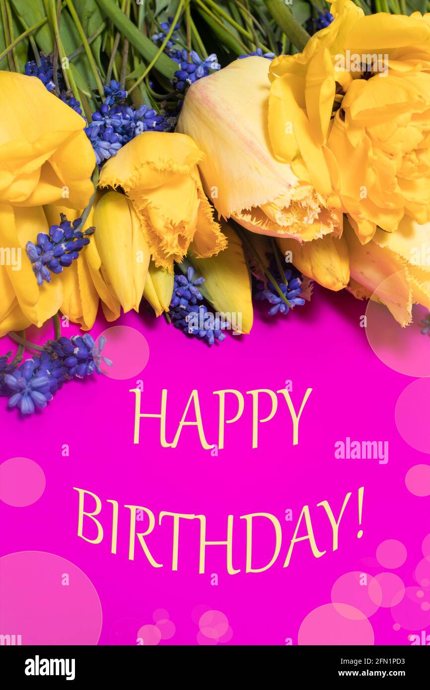 Rosafarbenes vertikales Banner mit der Aufschrift Alles Gute zum Geburtstag. Auf einem Hintergrund von gelben Blumen Tulpen Stockfoto