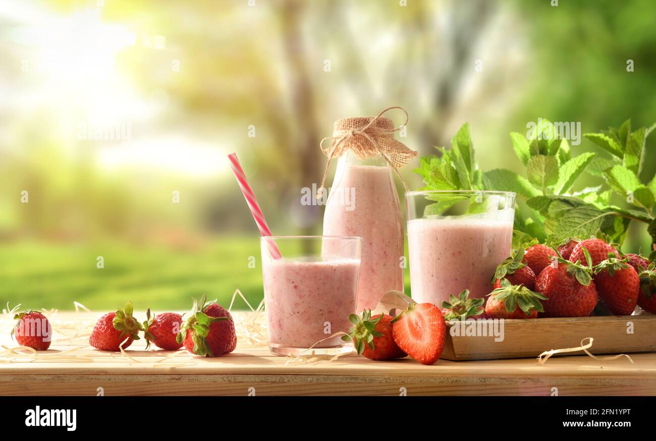Erdbeer-Smoothie mit Milch in Glasbehältern auf Holztisch mit Tablett voller Erdbeeren in der Natur. Vorderansicht. Stockfoto