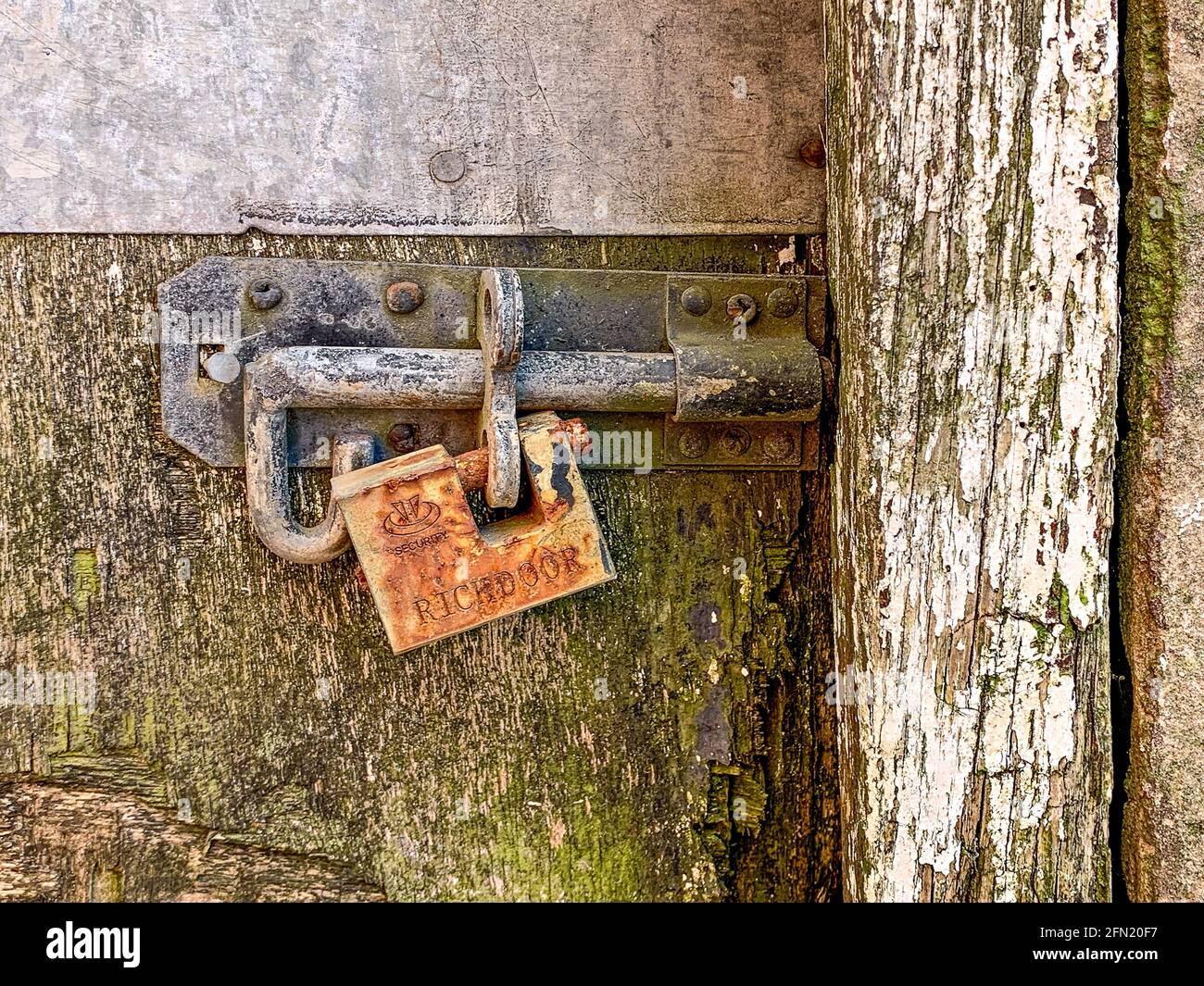 Altes verrosttes Vorhängeschloss wurde an der Holztür befestigt Stockfoto