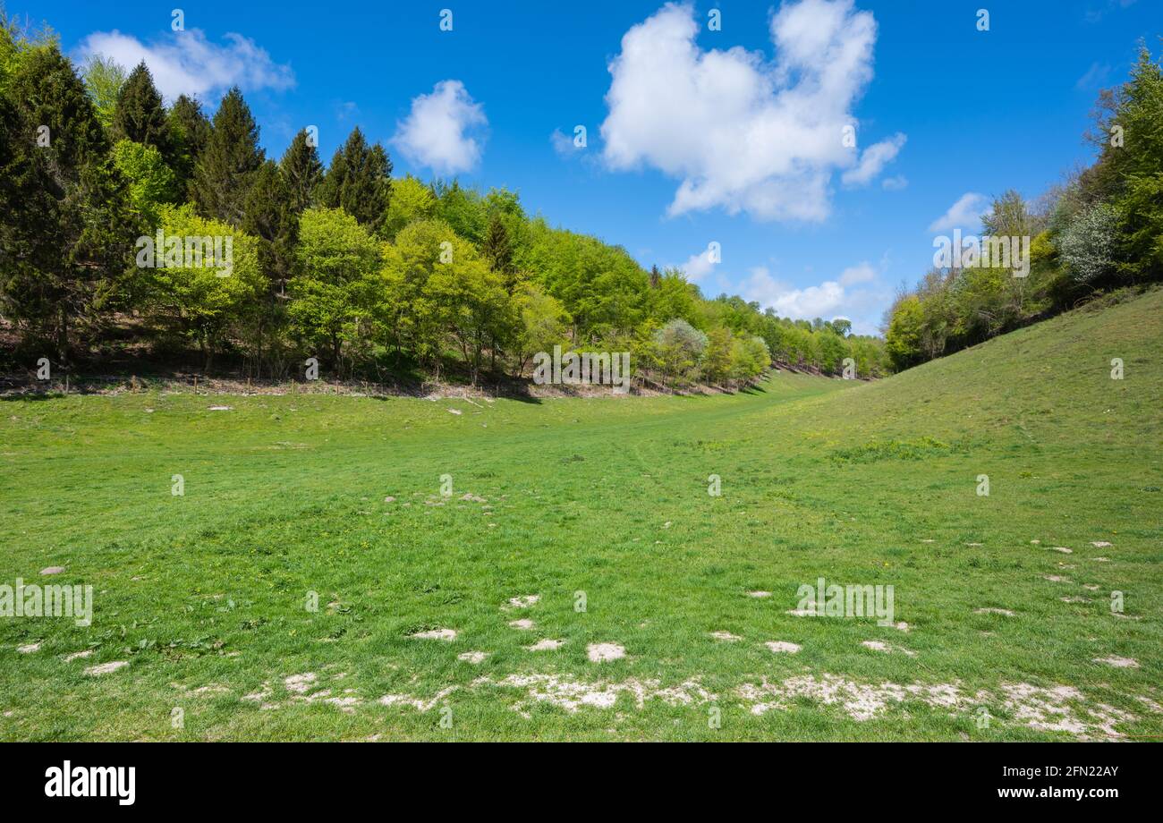 Grass Valley im Arundel Park, South Downs National Park, einem Gebiet von außergewöhnlicher natürlicher Schönheit und von besonderem wissenschaftlichen Interesse in West Sussex, Großbritannien. Stockfoto