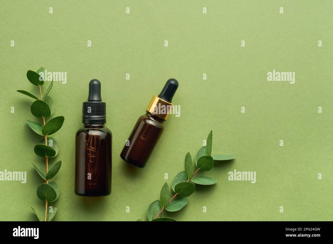 Zwei Tropfflaschen aus Glas für medizinische und kosmetische Zwecke und ein Eukalyptuszweig auf grünem Hintergrund. SPA-Konzept. Draufsicht, Platz für Text kopieren Stockfoto