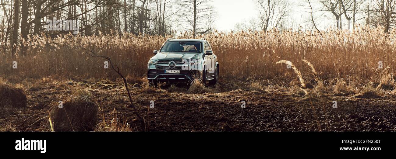 Luxuriöser Mercedes GLE mit 4x4-Antrieb im Gelände. V6-Motor, 367 ps. Es ist kein Fahrer im Auto. Orzesze, Polen - 01.12.2020 Stockfoto