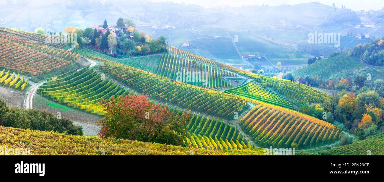 Ländliche Landschaft. Goldene Weinberge und malerische Dörfer des Piemont. Berühmte Weinregion von Norditalien Stockfoto
