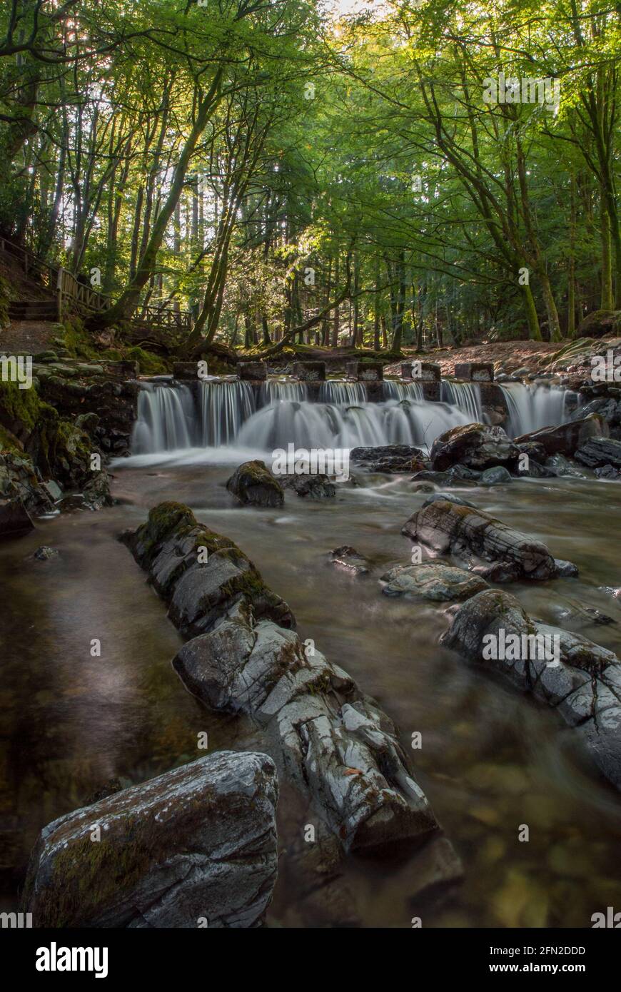 Stepping Stones im Tollymore Forest Park in der Grafschaft Down Northern Irland Stockfoto