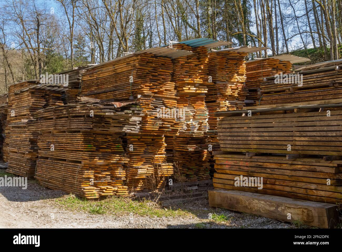 Viele gestapelte Holzbretter auf einem Holzhof Sonniges Ambiente Stockfoto