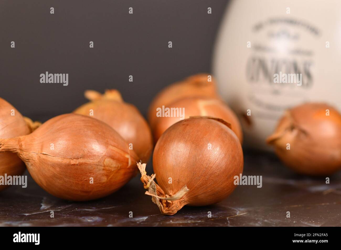 Ganze rohe, ungeschälte Zwiebelzwiebeln auf dunklem Hintergrund Stockfoto