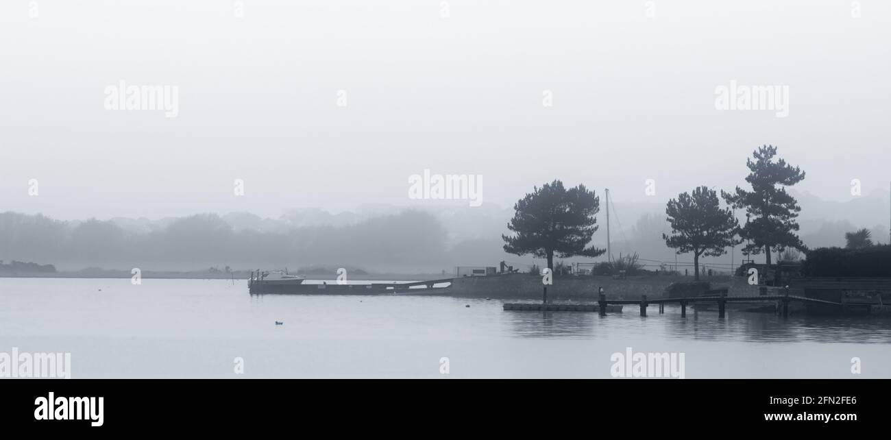 Pinien auf EINER Landzunge im Christchurch Harbour im Mist, Christchurch UK Stockfoto