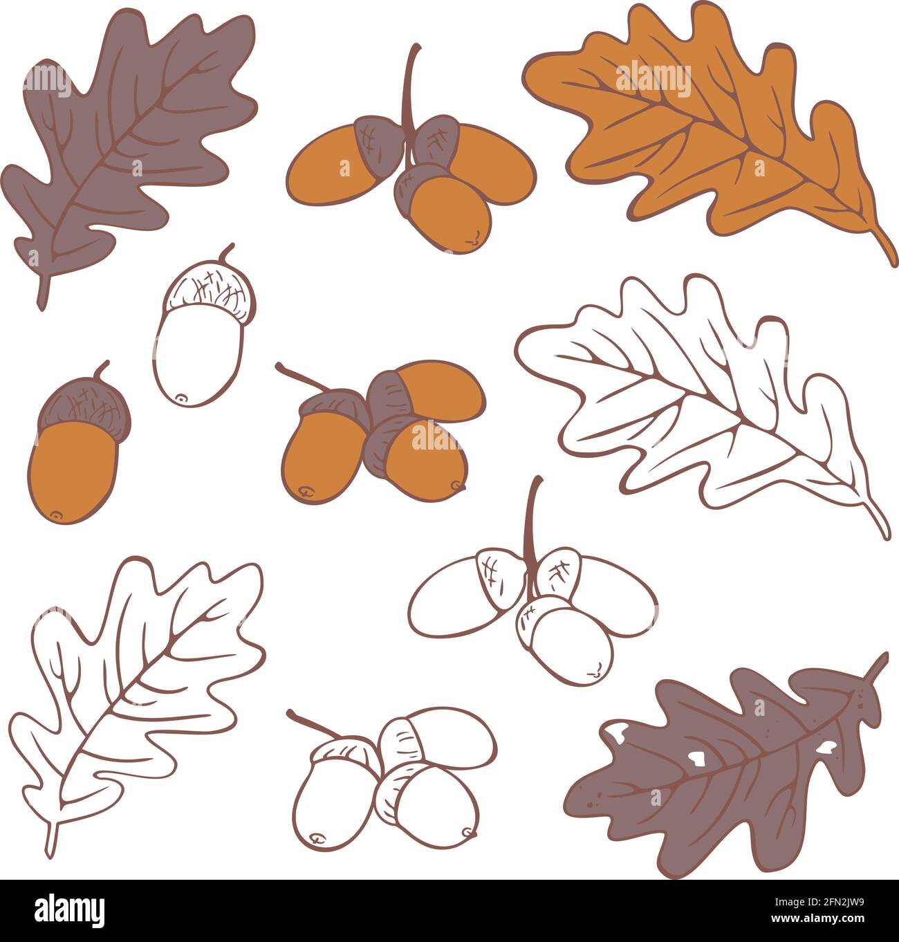 Vector Sammlung von Blättern und Eicheln. Herbstsilhouetten und verschiedene bunte Blätter gesetzt. Stock Vektor