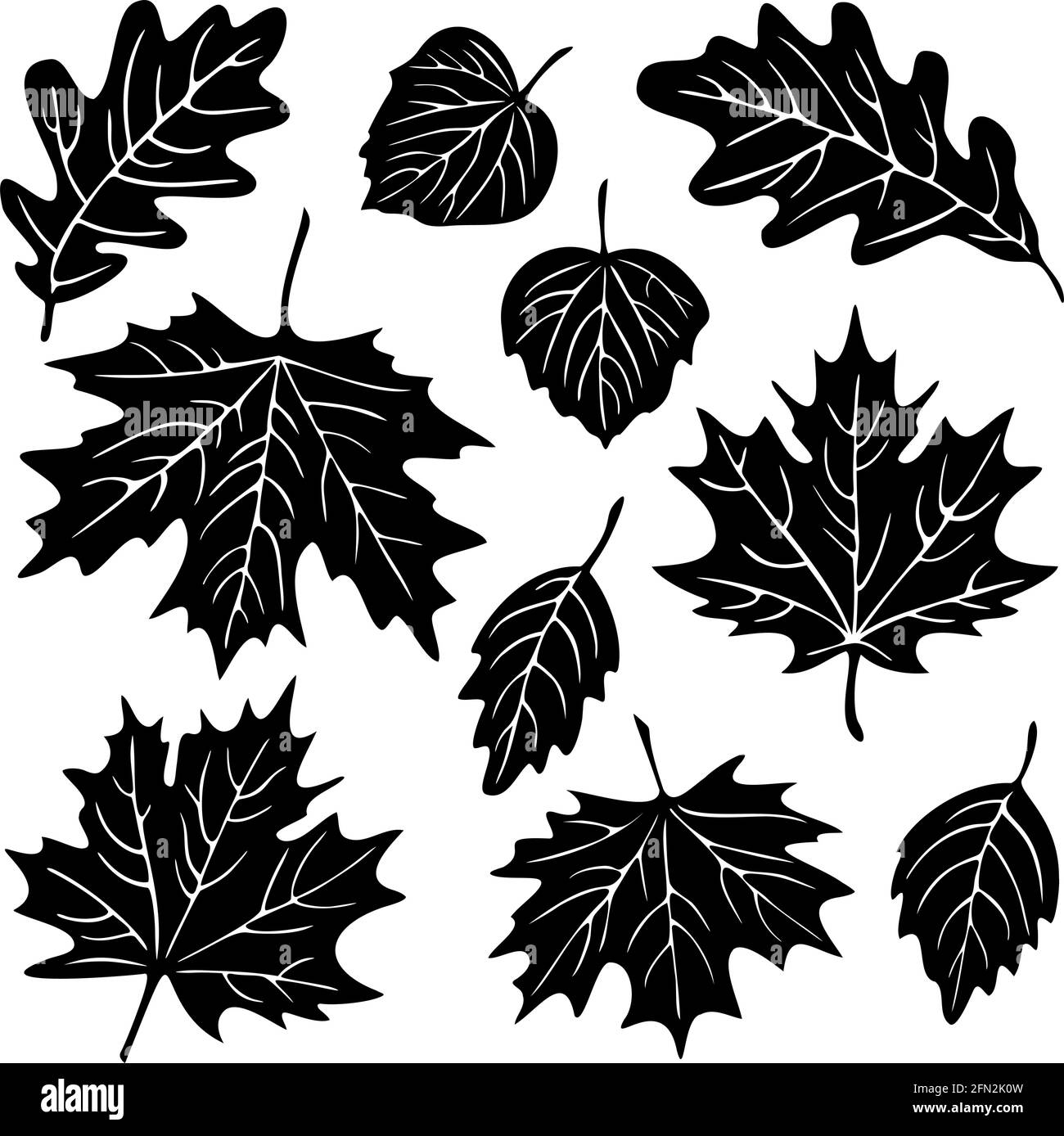 Vector Sammlung von verschiedenen Blättern Silhouetten. Herbstdesign. Stock Vektor