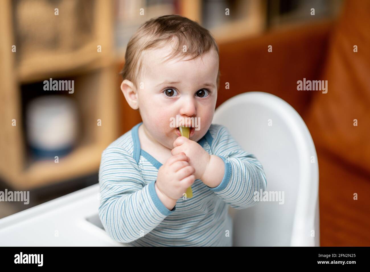 Ein Porträt eines einjährigen Jungen mit einem Löffel. Baby im Hochstuhl zu Hause füttern. Stockfoto
