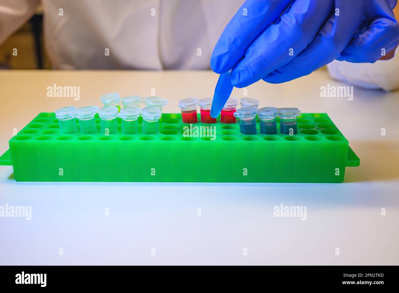 Europäische Frau, die mit Corona-Virus-Proben von Patientinnen arbeitet Handschuhe als Sicherheitsmessung Stockfoto