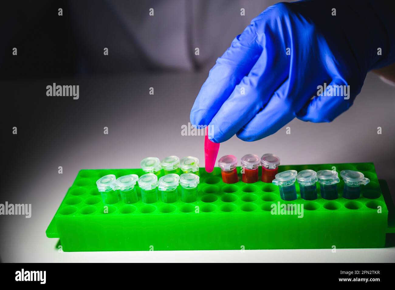 Forscher, die mit Patientenproben des Corona-Virus in einem Molekül arbeiten Biologielabor trägt Handschuhe als Sicherheitsmessung Stockfoto