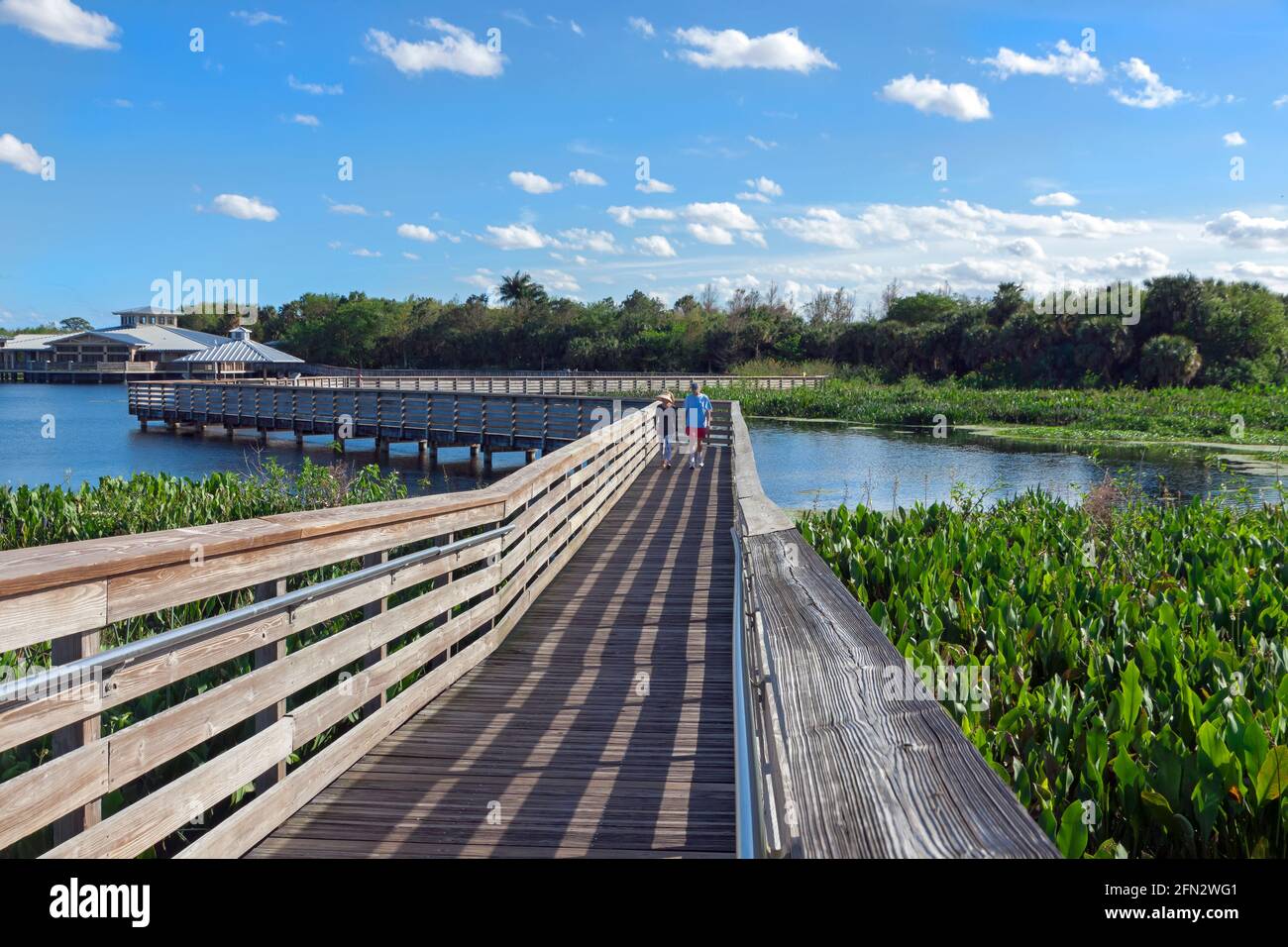 Menschen, die auf einer erhöhten Promenade am Green Cay Nature Center und den Wetlands, Boynton Beach, Florida, spazieren gehen. Stockfoto