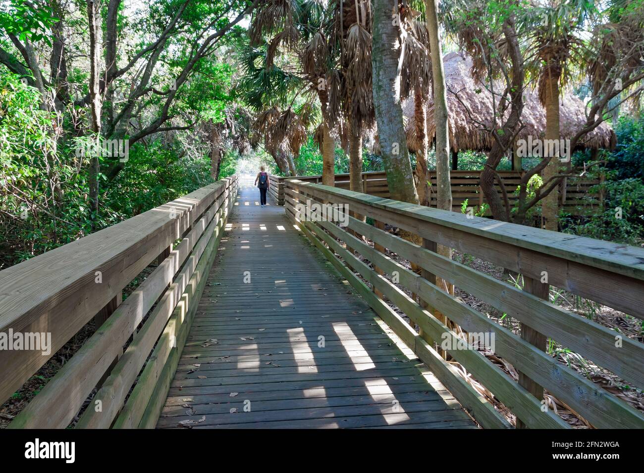Person, die auf einer erhöhten Promenade am Green Cay Nature Center und den Wetlands, Boynton Beach, Florida, läuft. Stockfoto