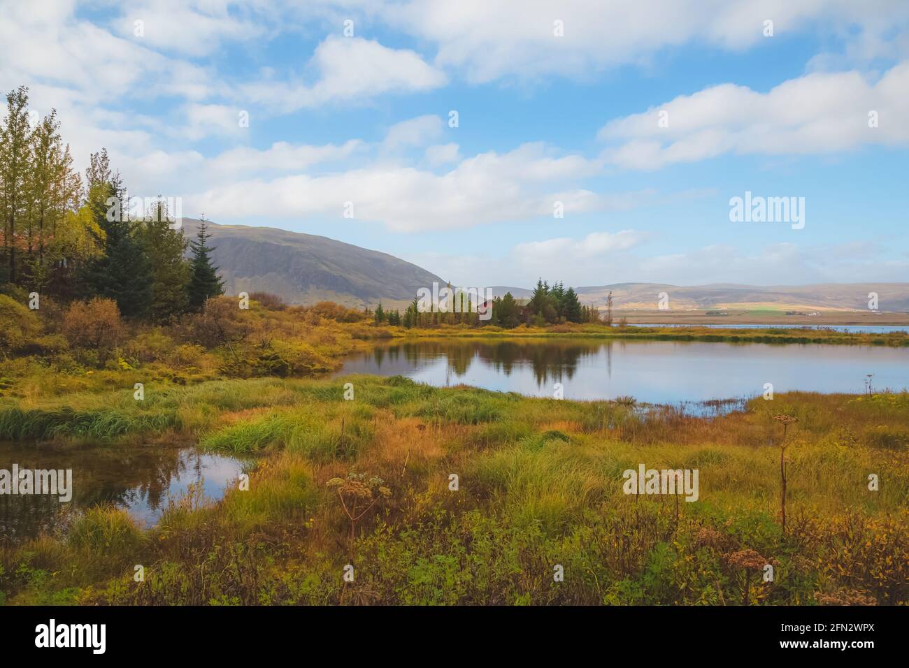 Eine einsame, abgeschiedene, am See gelegene isländische rote Hütte im Wald in der ländlichen Landschaft Islands. Stockfoto