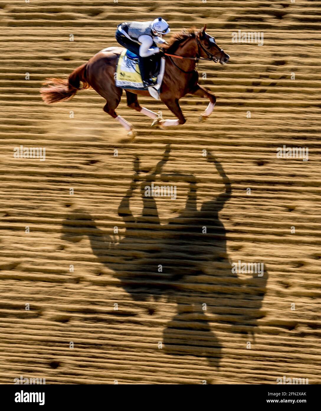 29. März 2017, Baltimore, MD, USA: Mai 13, 2021: Überfüllte Trade-Übungen für die Preakness Stakes auf der Pimlico Race Course in Baltimore, Maryland. (Foto von Scott Serio/Eclipse Sportswire/CSM/Sipa USA) Stockfoto