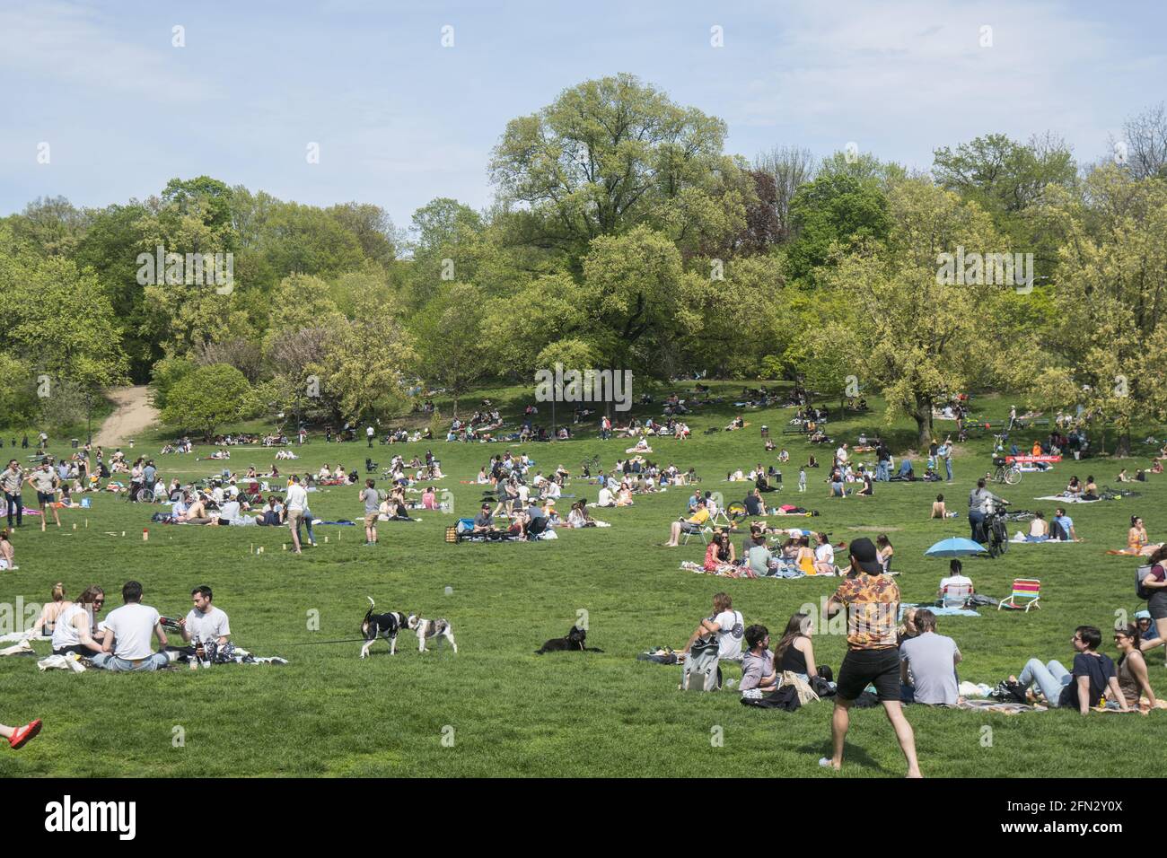 Gruppen von Menschen, die sich gesellschaftlich distanzieren und einen warmen Frühlingstag im Prospect Park genießen, über ein Jahr lang in die Covid-19-Pandemie in Brooklyn, New York. Stockfoto
