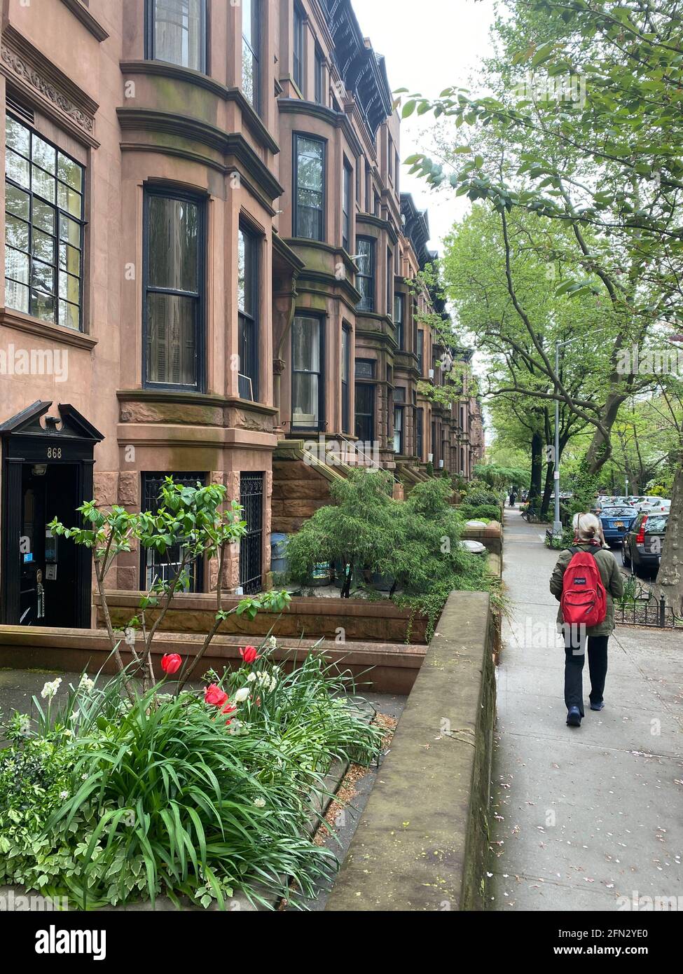 Brownstone-Wohnhäuser und Stadthäuser säumen viele der Straßen im Wohngebiet Park Slope, Brooklyn, New York. Stockfoto