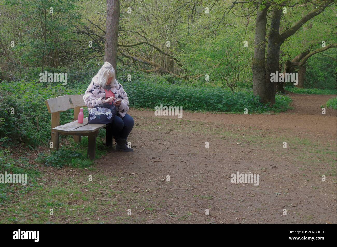 Frau in bunten Kleidern saß auf einer Bank in der Wood schaute auf ihr Telefon Stockfoto