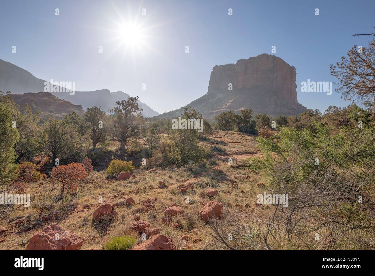 Blick auf das Gerichtsgebäude Butte an einem Frühlingsmorgen. Sedona, Arizona, USA. Stockfoto