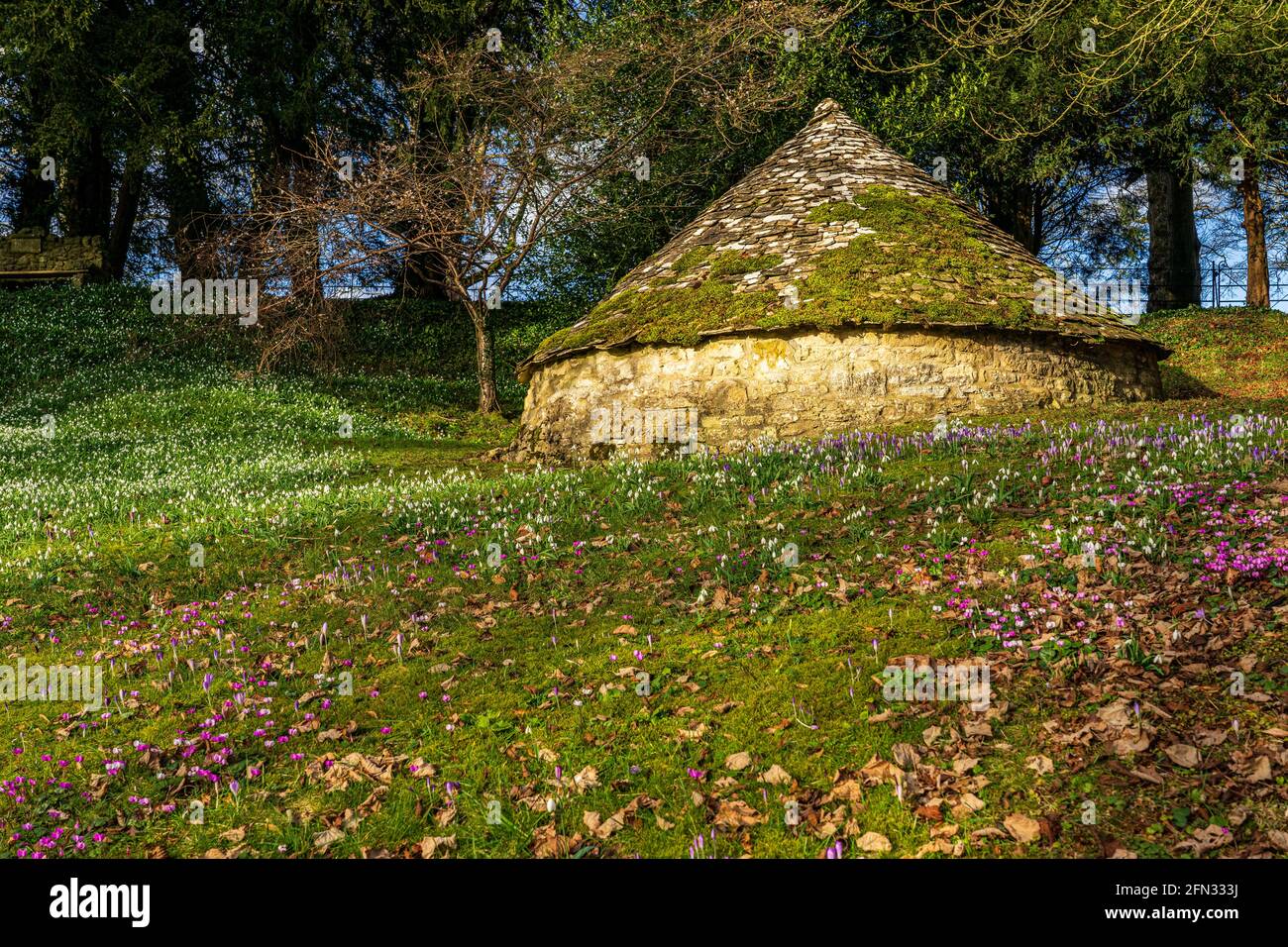 Schneeglöckchen und Cyclamen treiben um das alte Eishaus in Colesbourne Gardens, in der Nähe von Cheltenham, Gloucestershire, Cotswolds Stockfoto